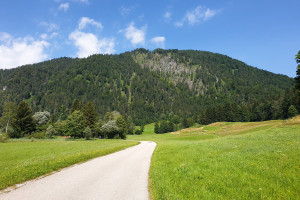 Blick auf den Schwarzenberg - Wegpunkt 4 entlang der Tour