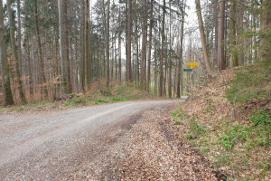 Abzweigung Salinenweg - Wegpunkt 14 entlang der Tour
