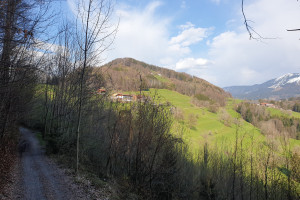 Blick auf den Dandlberg - Wegpunkt 3 entlang der Tour
