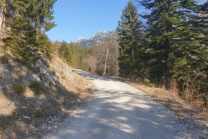 Blick auf Hochsalwand - Wegpunkt 3 entlang der Tour