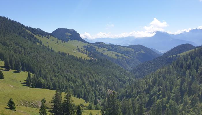 Teaserbild zur Tour - Auf den Brünnstein mit Rückfahrt entlang des Gießenbachs