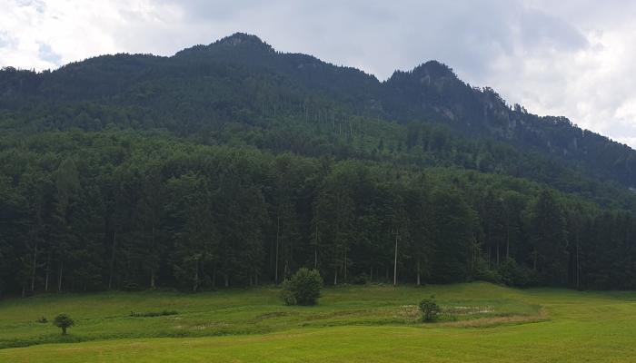 Teaserbild zur Tour - 3 Gipfel Bike & Hike: Hirschnagel, Rehleitenkopf und Gr. Riesenkopf