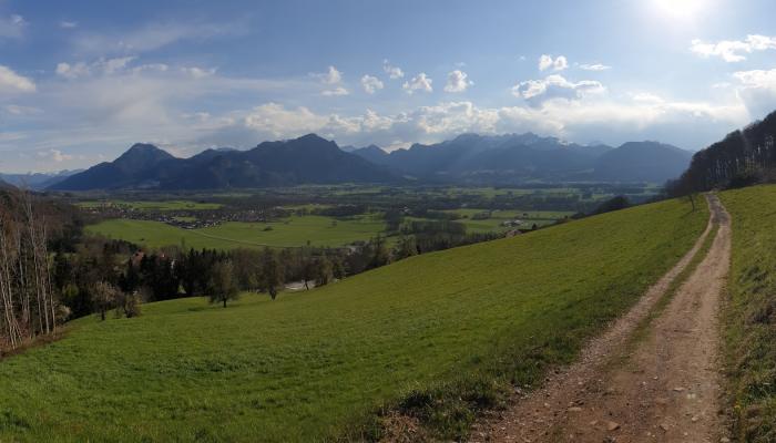 Teaserbild zur Tour - Rund um den Dandlberg
